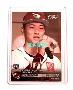 Item thumbnail for item cc45174d-be79-4290-ab8a-d4af51fdda39