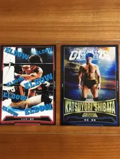 【未開封】柴田勝頼デビュー20周年 [DVD] THE WRESTLER タオル 未開封】柴田勝頼デビュー20周年 [DVD] THE WRESTLER タオル 未