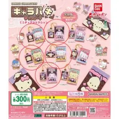 サンリオキャラクターズ キャラパキ