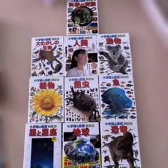 小学館の図鑑NEO 8冊セット DVD7枚付 科学の実験夏休みチャレンジ