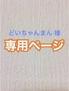 どいちゃんまん 様 専用*️⃣ アイロンビーズ 合計２４００【 ゆうゆう便】
