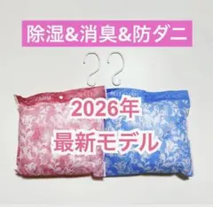 【セール】帝人 アクシア 除湿剤 最新モデル☆☆消臭☆防ダニ☆大2個☆フック2個