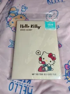 ♡Hello Kitty 2025 Diary♡
