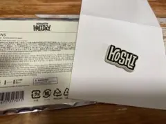 SEVENTEEN　holiday ピンバッジ ピンズ ホシ