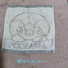 ポッチャマハンカチのサムネイル