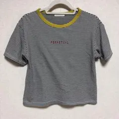 SM2 ロゴTシャツのサムネイル