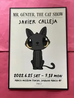 2026年最新】ハビア・カジェハの人気アイテム - メルカリ