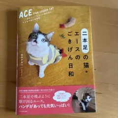 Item thumbnail for item b6193f97-ffa3-488f-8af0-b0cea9bf3e0c