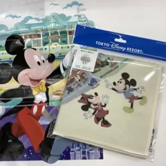 TOKYO ディズニーリゾート　ウオッシュタオル