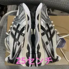 ASICS GEL-KAYANO 14 CREAM/BLACK 25.0cm