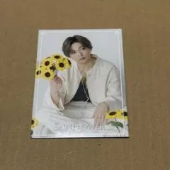 FANTASTICS 八木勇征 SUNFLOWER フォトカード フォトカのサムネイル