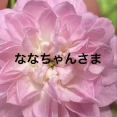 aphrodite様♡*.スワロフスキー♡サンキャッチャー♡ - メルカリ