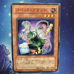 パペットプラント STON ノーマル