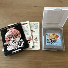 Item thumbnail for item 13022cb6-9fce-40d8-a962-2e0648363557