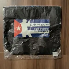 Item thumbnail for item 2e543170-0526-4f2f-90ce-518344aac949