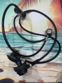 Item thumbnail for item 699d08d5-990a-4000-9cb9-6ae129a1eb0a