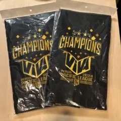 Item thumbnail for item d389aacf-9427-47c1-b21e-2082f595a64a