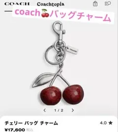 2026年最新】coach チャーム さくらんぼの人気アイテム - メルカリ
