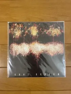 SOUL SCREAM 蜂と蝶 12inch レコード 日本語ラップ SOUL SCREAM 蜂と蝶 12inch レコード 日本語ラップ - メルカリ