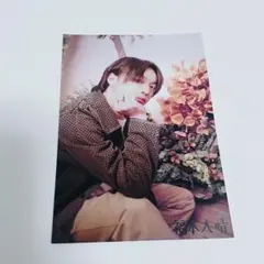 福本大晴 アロセル フォトカード