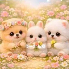 うーたん様確認用