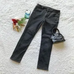 アメリカンイーグル スキニーデニム ジーンズ ストレッチ F 細身 カジュアル