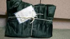 Item thumbnail for item 9fbe8daa-342e-4c56-b487-5c169d060c28