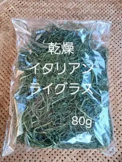 Item thumbnail for item 7574cd74-f7ad-41b7-ad20-eb3c44470103