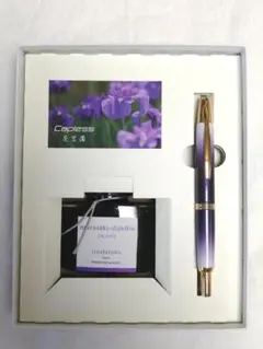 Item thumbnail for item 8ac86f24-7de3-4f19-a296-e2c063263652