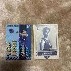 【ちゃな様専用】