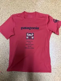 信越五岳　パタゴニア　キャプリーンTシャツ patagonia