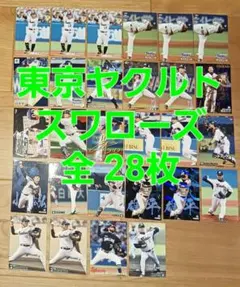 プロ野球チップス 東京ヤクルトスワローズ　2024年 青木選手 他 　全28枚