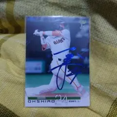 Item thumbnail for item e485d7f4-97c6-4426-9a66-61a43abcbce6