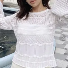 エイミーイストワール　ランダムパターン透かしニットプルオーバー　トップス　透かし