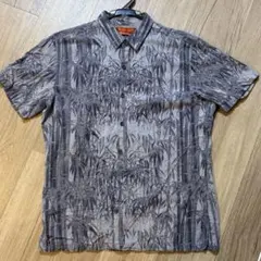 Item thumbnail for item 5feec98b-1ad9-47e1-b783-6c0efda4d9e2