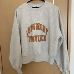 Item thumbnail for item 512848ab-e69c-434b-89e0-ee9eb440db3d