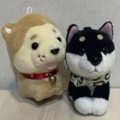 Item thumbnail for item ff73b667-8d6a-41ce-88ba-1ea139b23eee