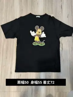 Item thumbnail for item 49c84970-f17f-4262-aa98-b9bee6fe20f6