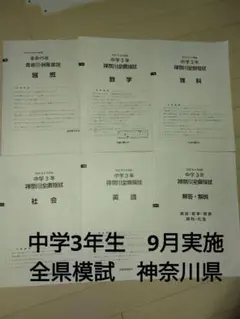 Item thumbnail for item 5c0bcb9c-d14e-46b1-976d-6ab23843c3d8