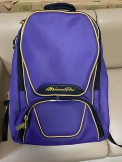◇最終値下げ◇ミズノプロ 限定 グラブケース ハードタイプ【美品 