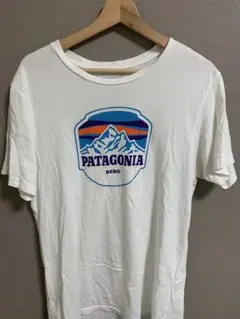 パタゴニア　海外モデルTシャツ