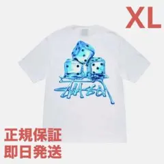 ❗️期間限定SALE❗️ステューシー メルツ Tシャツ ホワイトXL