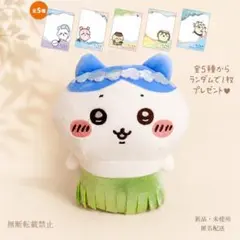 【カード付】映画 ちいかわ 人魚の島のひみつ 島へようこそ!!ぬいぐるみハチワレ