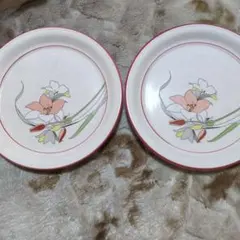 【2/25最終処分】 ノリタケ 日本陶器 平皿 2枚セット