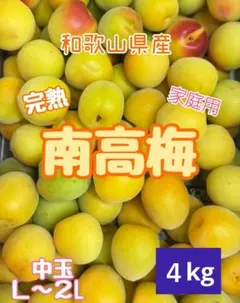 和歌山 紅 完熟 南高梅 4L 2kg クール便 変更3kg 追加紫2kg - メルカリ