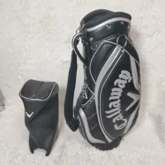 Item thumbnail for item 1e26b579-1582-4574-90d0-305a01bd0637