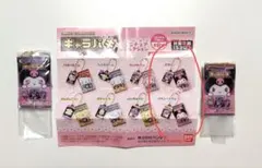 サンリオ　キャラパキチョコレート　ミニチュアコレクション