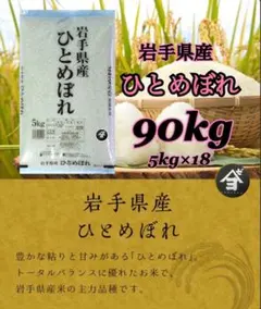 米 特A評価 【令和7年産岩手県産ひとめぼれ120kg】 (5kg×24) - メルカリ