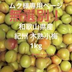 ムク様専用ページ 無選別！和歌山県産 木熟小梅 完熟1kg