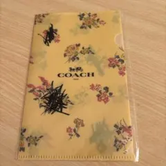 Item thumbnail for item 700790ef-2f89-4453-97c4-dd3eda567dbe